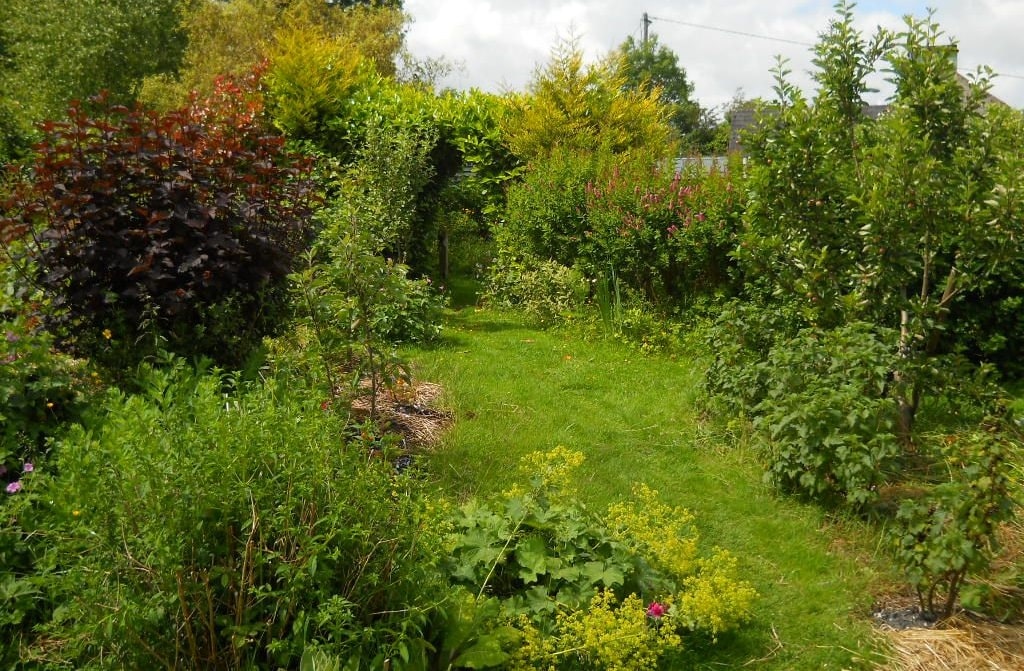 foodforest