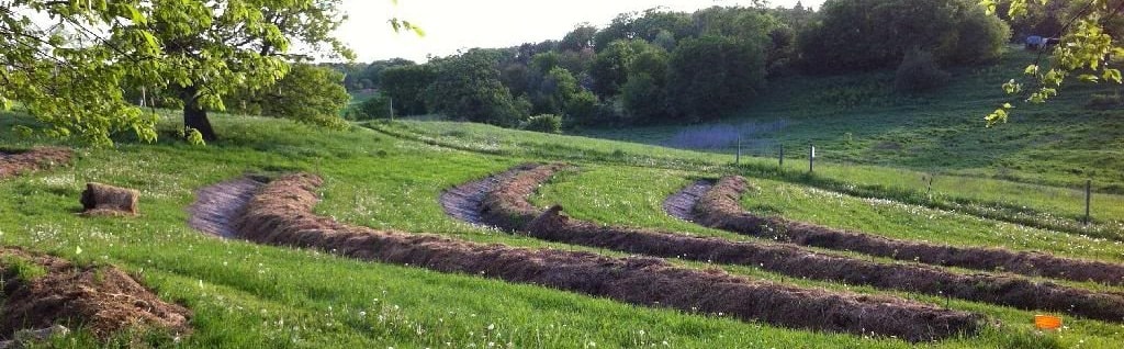 foodforest swales